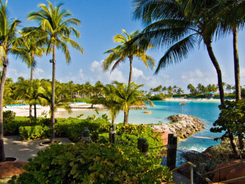 Beach Paradise Island Bahamas